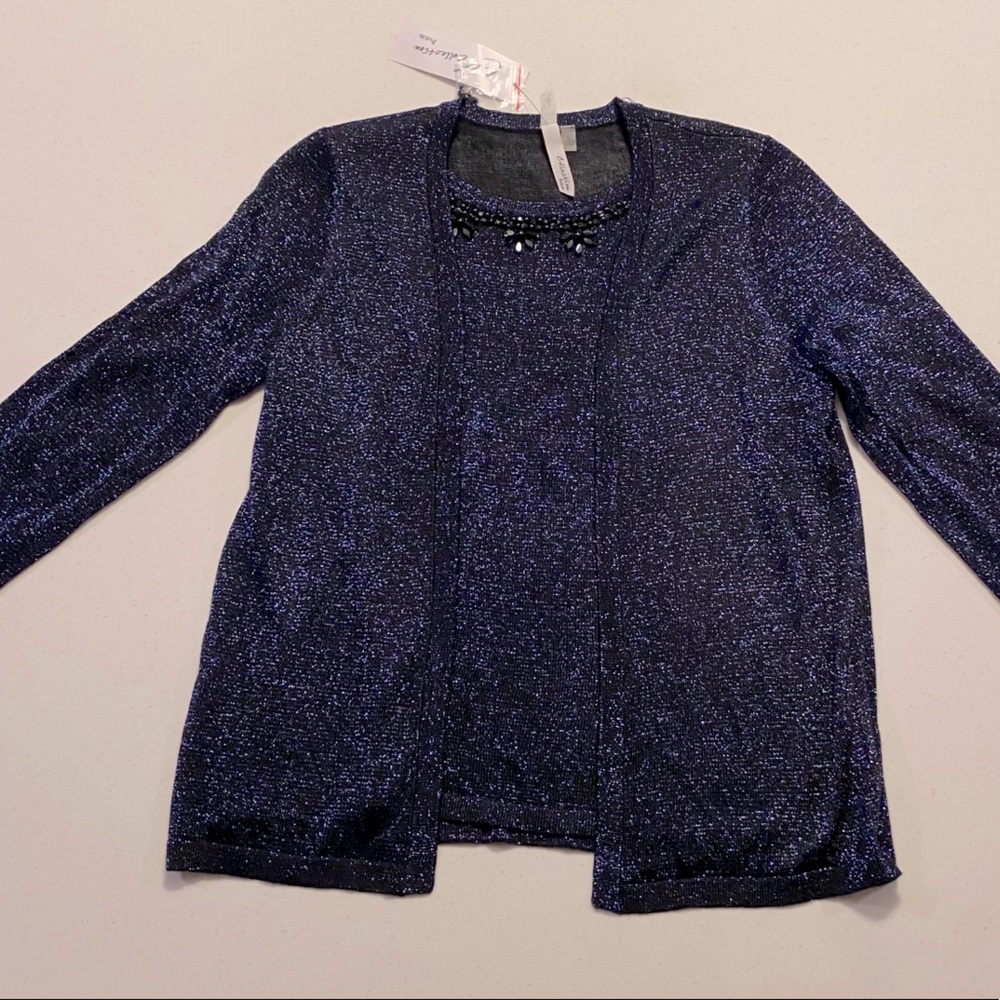 NY Collection Petite Metallic Blue and Black Sparkle Sweater Set - Petite Large